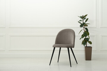 Modern beige chair and beautiful houseplant near white wall indoors. Space for text - obrazy, fototapety, plakaty