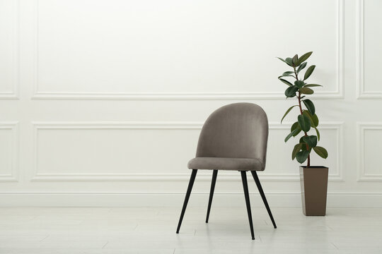 Modern beige chair and beautiful houseplant near white wall indoors. Space for text
