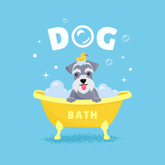 Dog taking a bath. Grooming and washing dogs. Dog grooming.