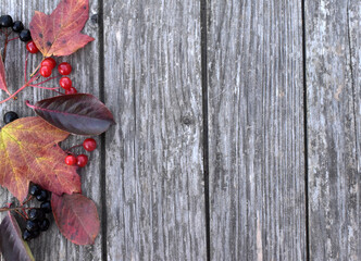 autumn leaves on wood background
