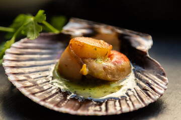 grilled scallop in green sauce with parsley