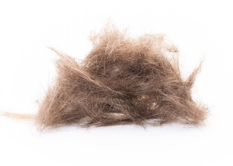 Cut off Hair or Trimming Hair. Barber Salon. Pile or Heap of hair after haircut. Hairdresser salon. Man or Woman haircut. Blonde male or female hair. Isolated on white background.