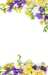 Fototapeta na wymiar Yellow roses, violet blue flowers bell ( bellflower ), yellow flowers foxglove on a white background with space for text. Top view, flat lay
