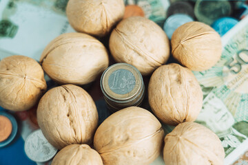 A stack of coins surrounded by shelled walnuts and a background of coins and banknotes.