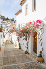 A beautiful street of a Mediterranean town with a stone-paved road and ceramic pots with flowering bougainvilleas standing along the walls of the buildings.Almonaster la Real, Spain. A vertical image.