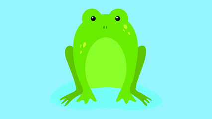 toad on a blue background