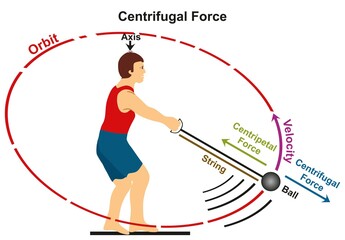 Centrifugal force infographic diagram physics science example athlete playing hammer game sport moving ball in circle before throwing it direction velocity centripetal force axis orbit string vector - obrazy, fototapety, plakaty