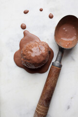 Dairy Free Chocolate Coconut Ice Cream Scoup