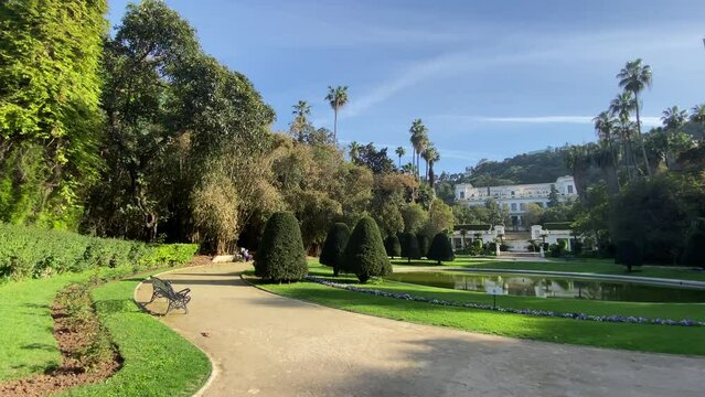 Green botanical garden.  
