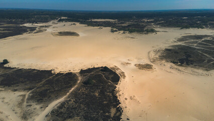 National Park de Loonse en Drunense Duinen in Udenhout Netherlands. Desert bright sunny day
