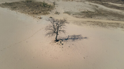 National Park de Loonse en Drunense Duinen in Udenhout Netherlands. Desert bright sunny day