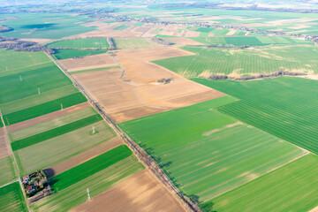 Top view of bright green fields sown with wheat and corn, rural landscape from above, nature