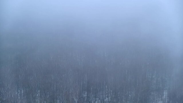 Evaporation of moisture over a winter forest with trees in the snow. Fog on snow-covered nature in a bleak landscape, timelapse