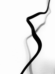 black and white lines