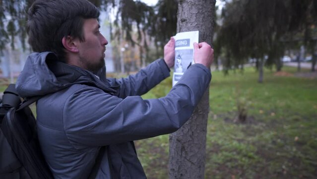 The man has lost his best friend a husky puppy. The owner posts an ad banner about the missing dog on the trees in the park. Missing pet banner. Dog search reward. Stole a pet. Lost Siberian Husky.