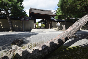 Naklejka premium 大徳寺 龍源寺山門 京都市北区紫野