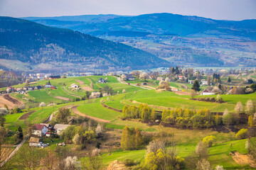 Spring rural landscape with flowering fruit trees on a sunny day. The Hrinova village in Slovakia, Europe © Viliam