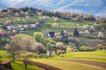 Spring rural landscape motif. Flowering fruit trees, fields and grassy meadows in the hilly countryside. The Hrinova village in Slovakia, Europe. © Viliam