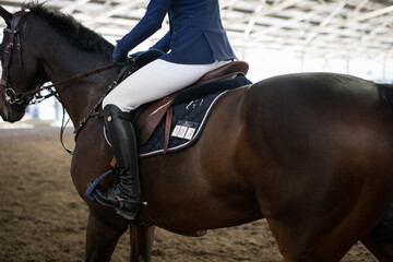 Horses
