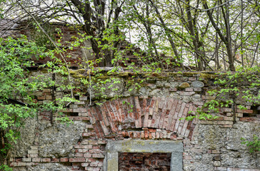 Fototapeta premium Schloss, Wirtschaftsgebäude, eingestürzt, Mauer, Außenmauer, Ruine, Ziegel, Verputz, verwuchert, verwildert, aufgelassen, Lost Place, Urban Exploring, Urbex, Imposant, Ziegel, Ziegelstein. Fenster, Fe