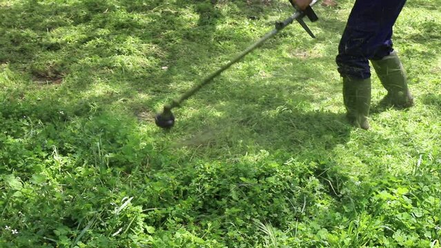 Hombre desbrozando malas hierbas en el campo