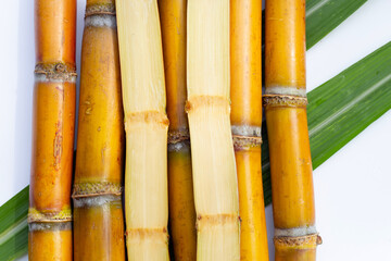 Sugar cane on white background.