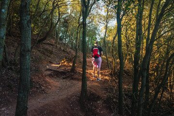 Fototapeta premium young woman hiking on a forest track. enjoying her holiday. woman walking in nature.