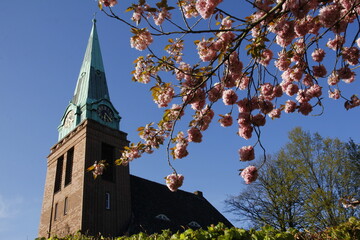  in may, evangelic-lutheran Groß Flottbek church