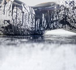 abstract pattern of black and white color drops and flowing paint on side view with hip, waist, belly and back of naked woman body with reflection on wet floor