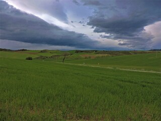 Fototapeta premium landscape with clouds