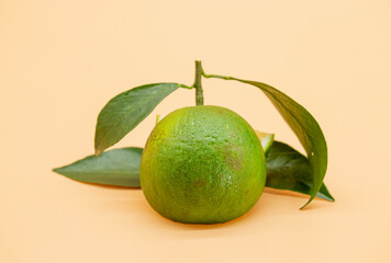 green Mandarin isolate on a colorful background