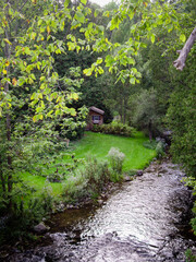 stream in the woods by a cottage