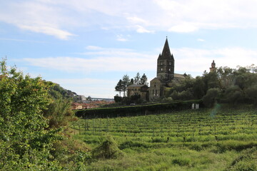 Fototapeta na wymiar Agriculture in Italy | Basilica dei Fieschi in the background | San Salvatore in Liguria, Italian Riviera