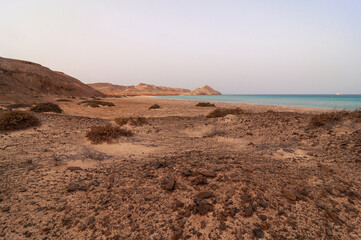 Fototapeta na wymiar Panorama di una spiaggia sull'isola di Zabargard, Egitto