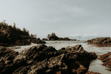 rocks on the beach
