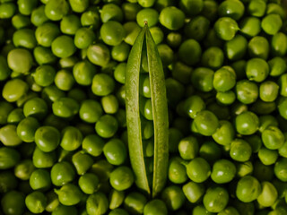 fresh green peas for cooking