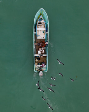 Bote de pesca, bote pesquero, pescadores trabajando