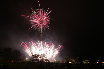 初夏の夜空を彩る花火
