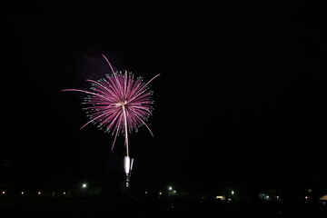 初夏の夜空を彩る花火