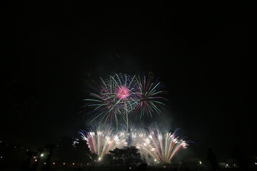 初夏の夜空を彩る花火