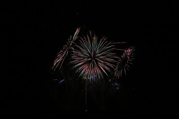 豊田スタジアムと花火