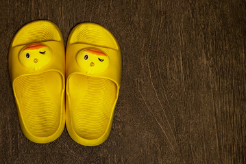 Duck slippers