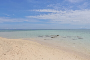 beach and sea