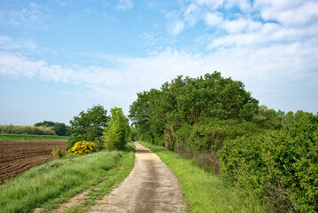 Fototapeta na wymiar Frankreich - Blois - Loire - Radweg