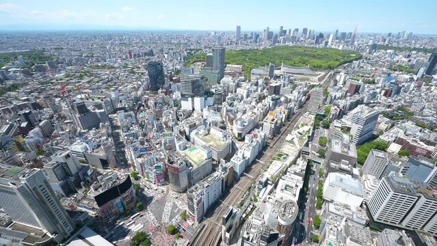 渋谷の街の映像