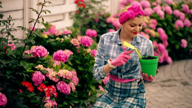 Woman in backyard cere hydrangea flowers. Gorgeous female gardener planting flowers in garden at summer time. Happy young gardener selecting hydrangea plants.