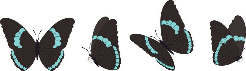 Vector set of beautiful colorful butterflies on a white background