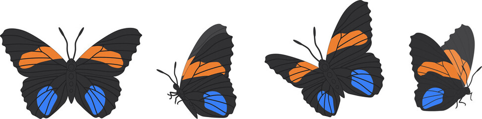 Vector set of beautiful colorful butterflies on a white background