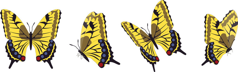 Vector set of beautiful colorful butterflies on a white background