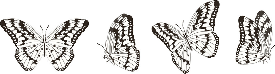 Vector set of beautiful colorful butterflies on a white background